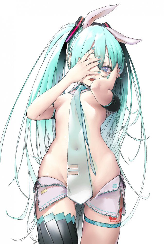 Erotic image I tried to collect the image of cute Hatsune Miku, but it's too erotic ... (vocalist) 13