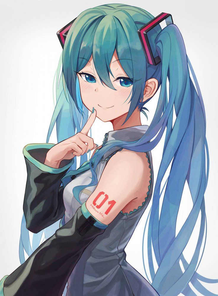 Erotic image I tried to collect the image of cute Hatsune Miku, but it's too erotic ... (vocalist) 4