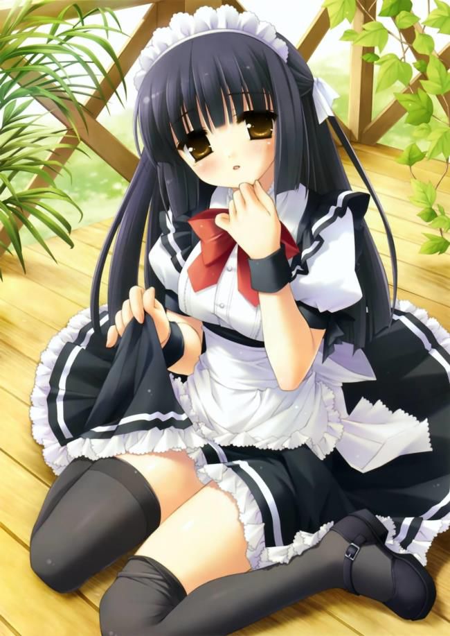 I tried to look for high-quality erotic images of maids! 14