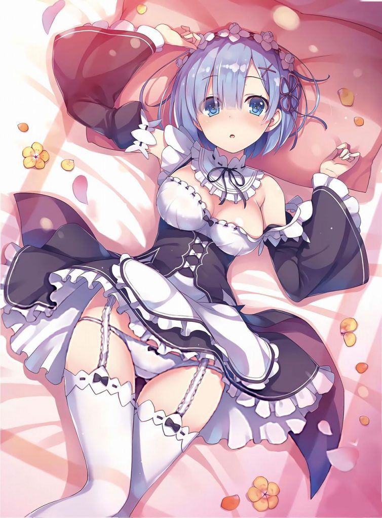 I tried to look for high-quality erotic images of maids! 6
