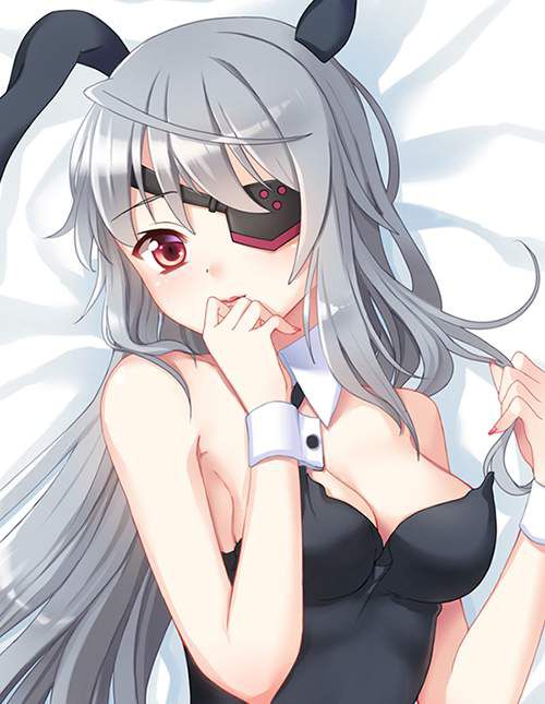 I tried collecting erotic images of Infinite Stratos! 15