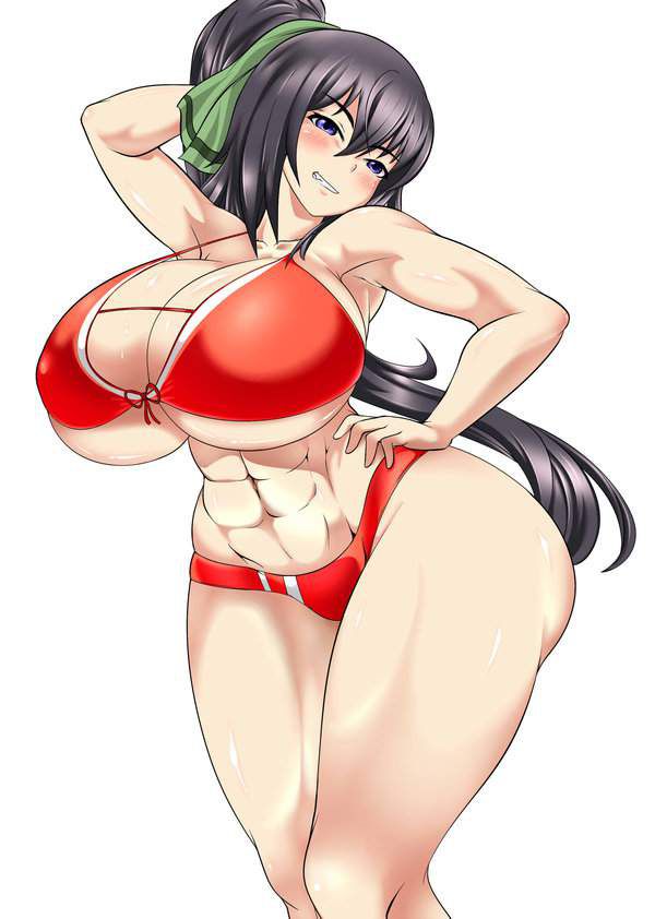I tried collecting erotic images of Infinite Stratos! 16