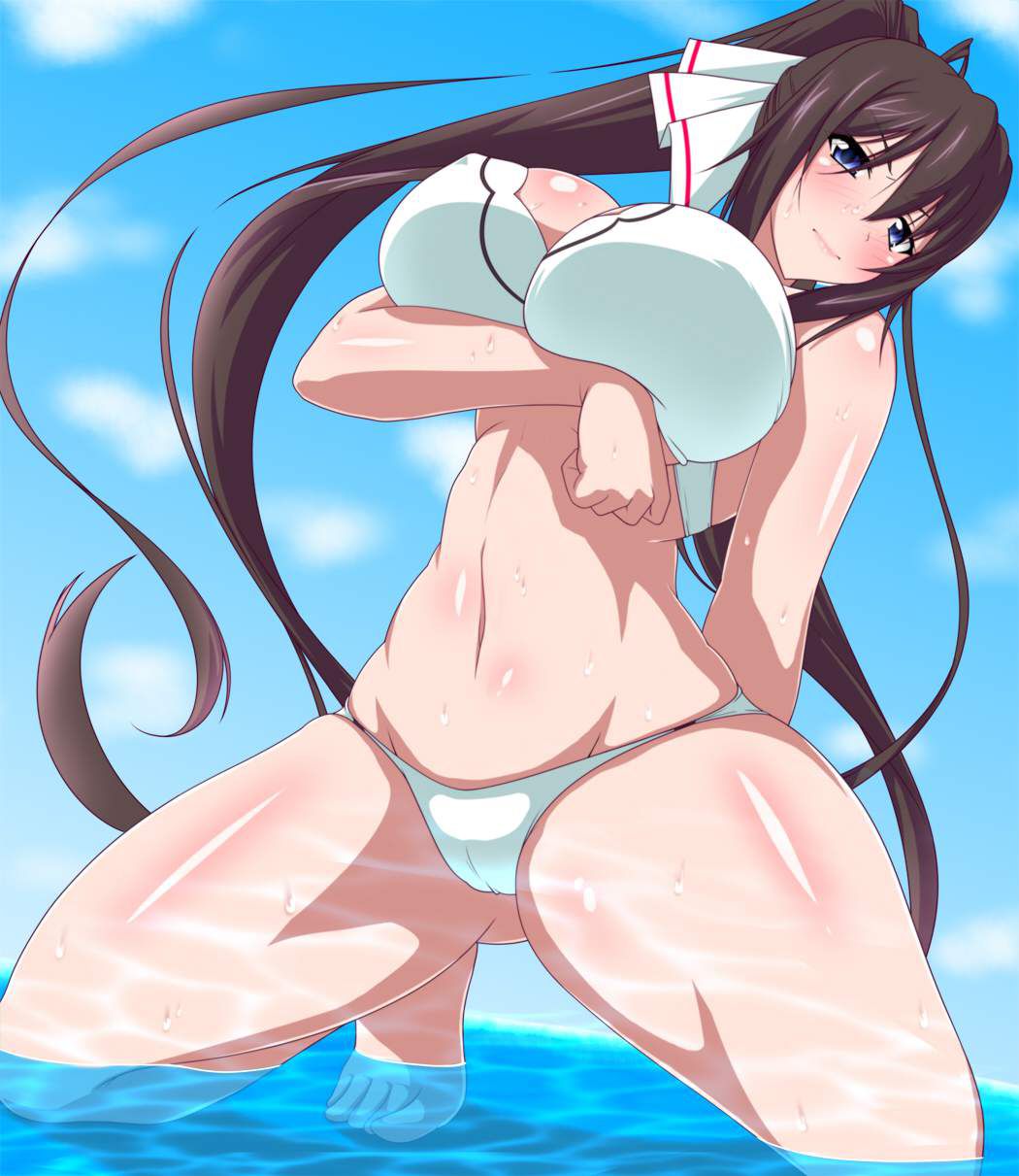 I tried collecting erotic images of Infinite Stratos! 2