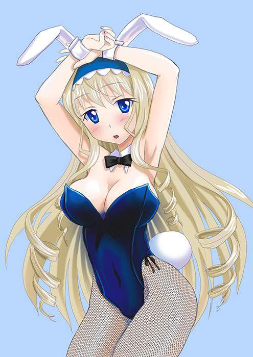 I tried collecting erotic images of Infinite Stratos! 5