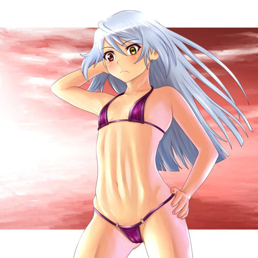 I tried collecting erotic images of Infinite Stratos! 6