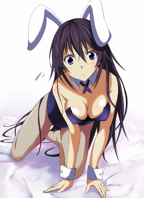 Erotic anime summary bunny girls who invite you to turn your ass on all fours [33 pieces] 18