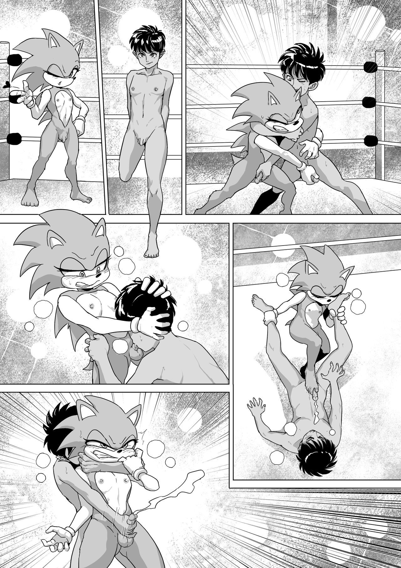 Rai vs Sonic Hentai Wrestling (CirenK) 1