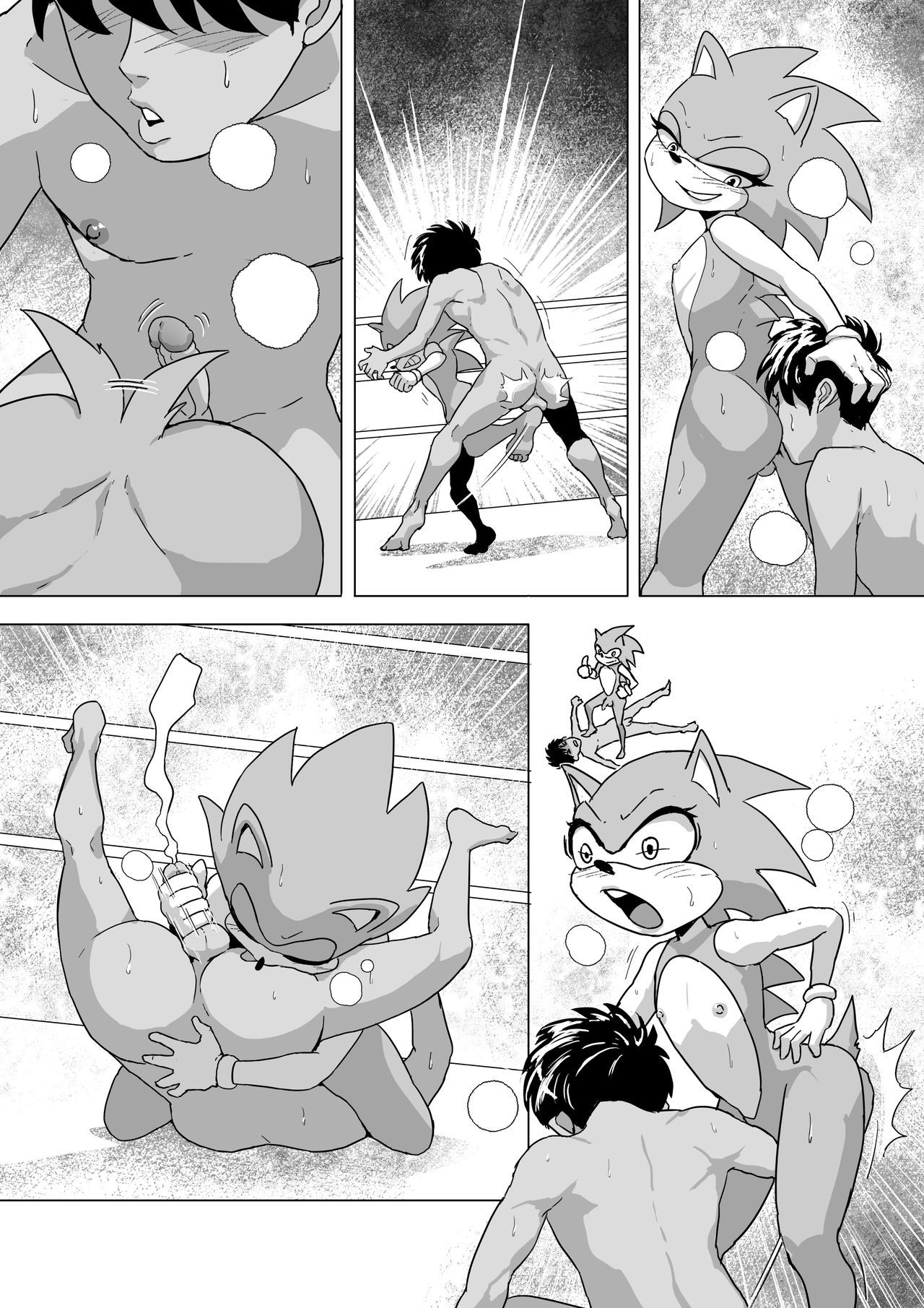 Rai vs Sonic Hentai Wrestling (CirenK) 2