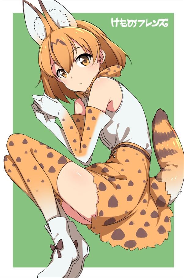【Kemono Friends】Serval's free secondary erotic image collection 16