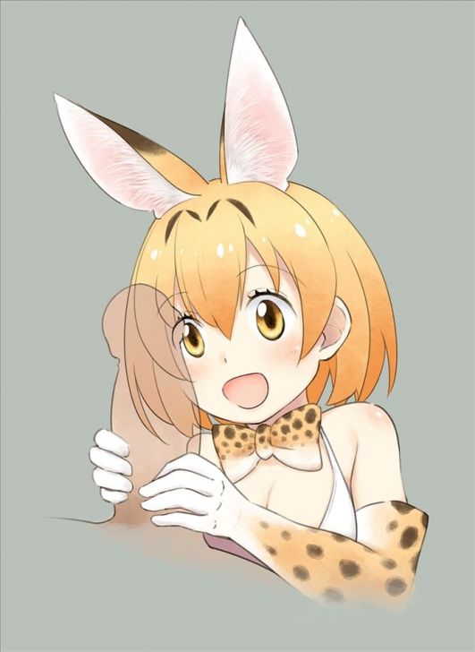 【Kemono Friends】Serval's free secondary erotic image collection 2