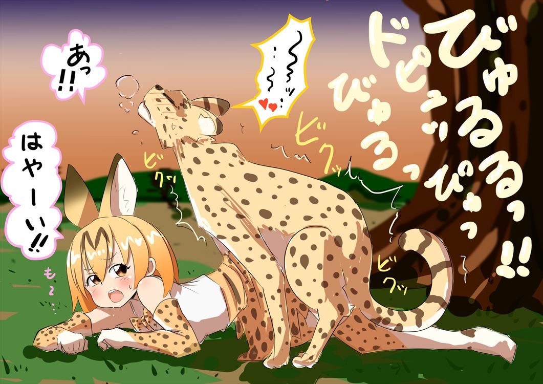 【Kemono Friends】Serval's free secondary erotic image collection 5