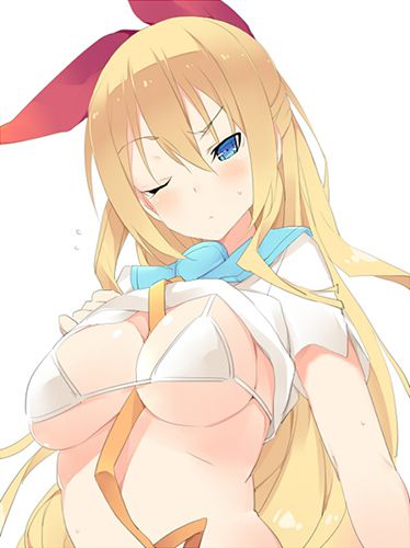 [Erotic anime summary] Nisekoi erotic image of the heroines appearing [secondary erotic] 20