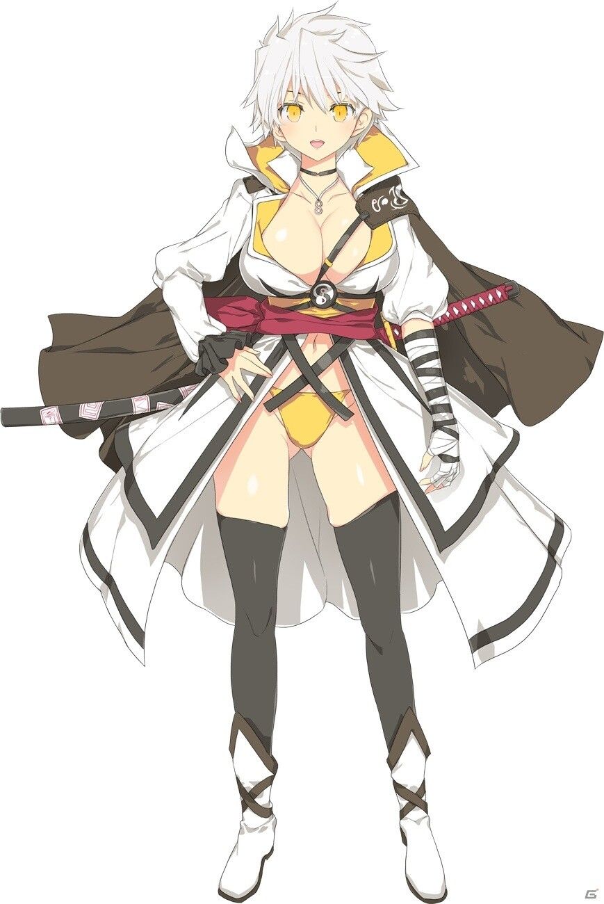 [Senran Shinobu Ninja War Neptune] Erotic costumes of Blanc and Veil! 18