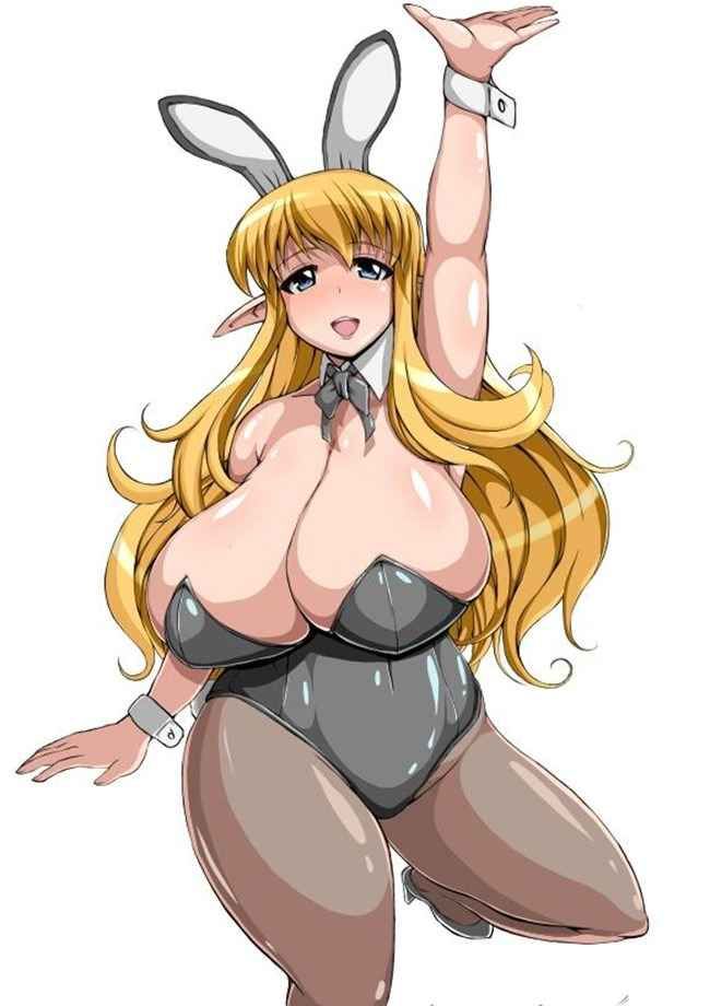 Erotic Anime Summary: Echiechi Image Collection of Beautiful Girls Who Became Bunny Girls [40] 13