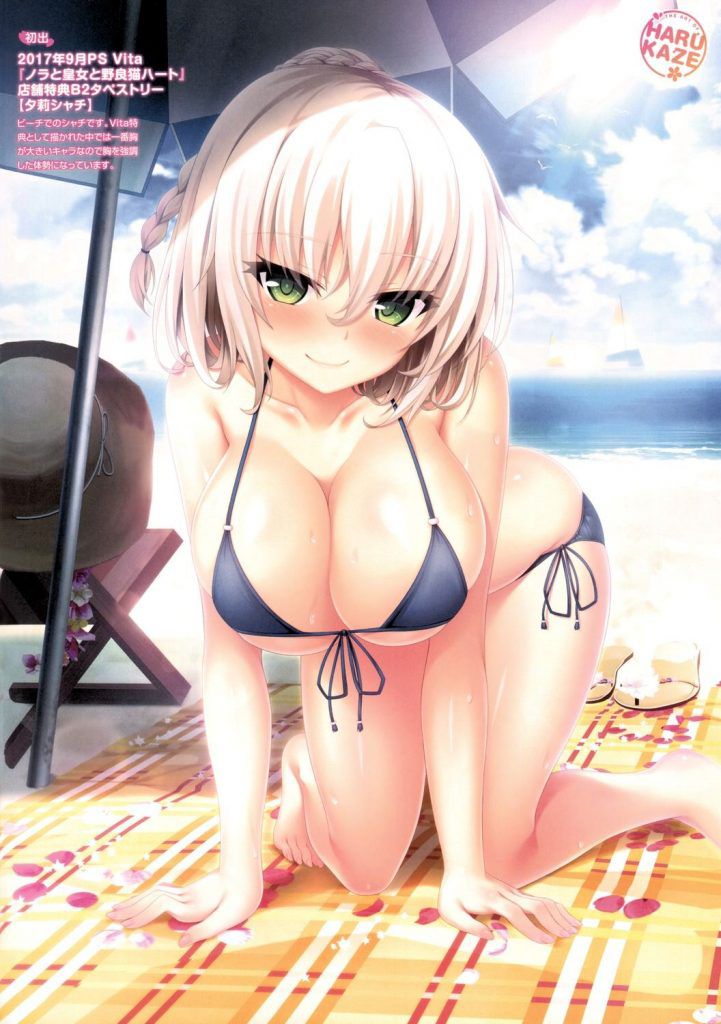 About the case that the secondary image of the swimsuit is too nu- and it is too much 15