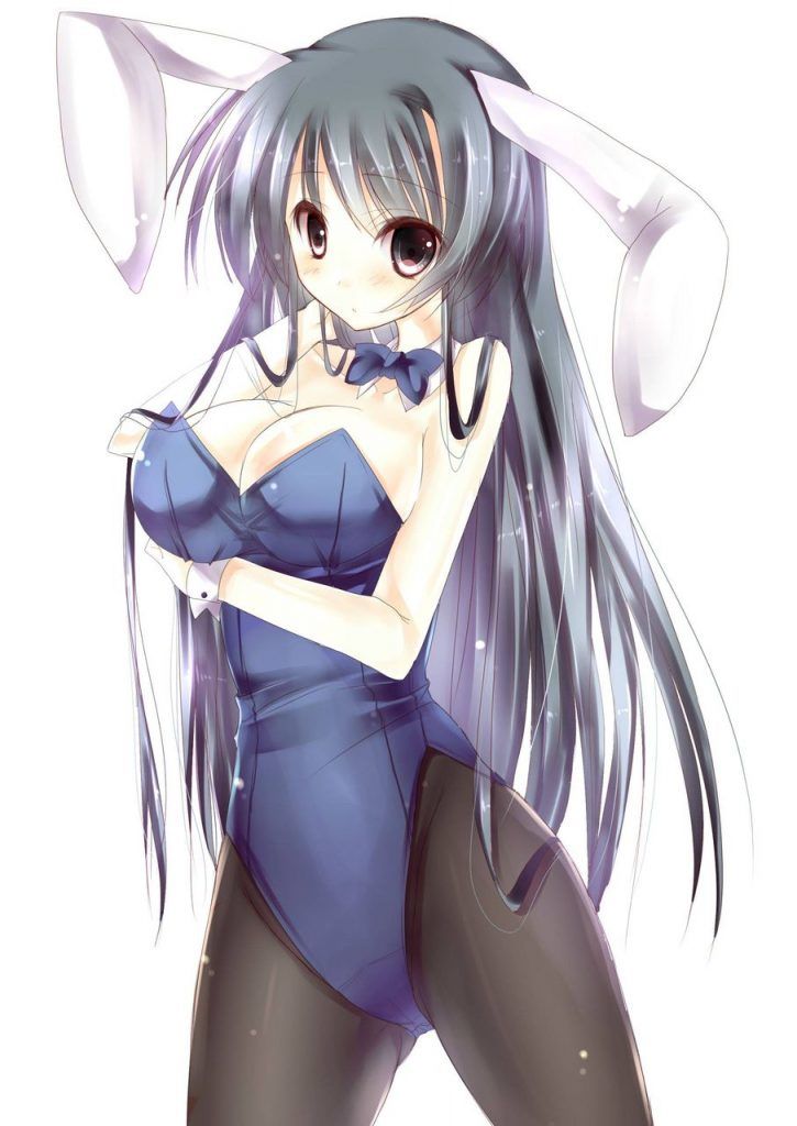 Bunny Girl's image warehouse is here! 10