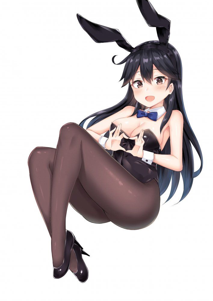 Bunny Girl's image warehouse is here! 20