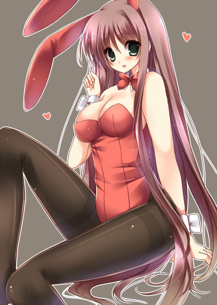 Bunny Girl's image warehouse is here! 9