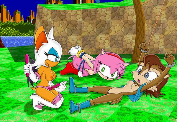 Mobius Unleashed: Sally Acorn 25