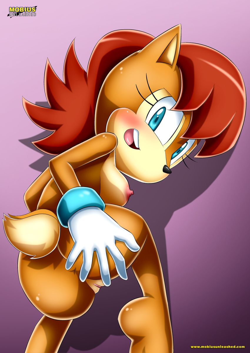 Mobius Unleashed: Sally Acorn 28