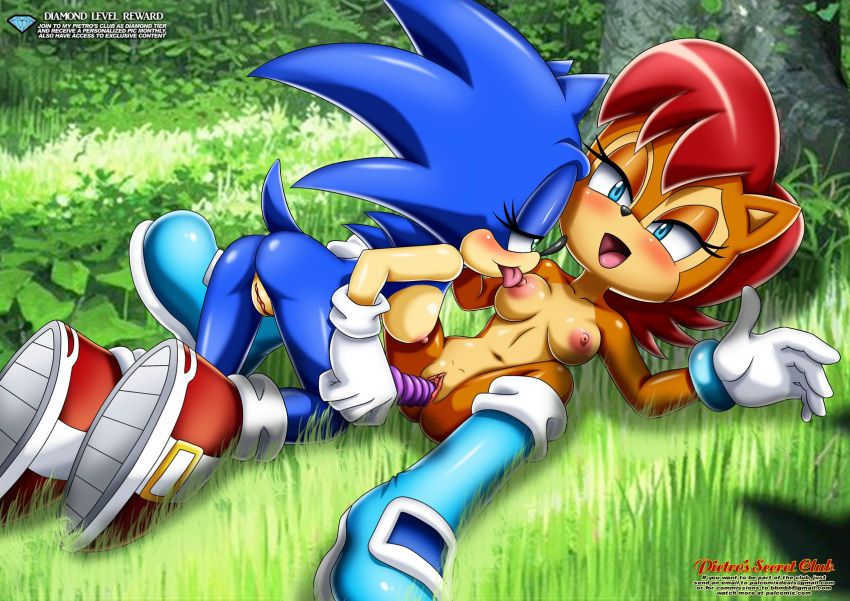 Mobius Unleashed: Sally Acorn 94