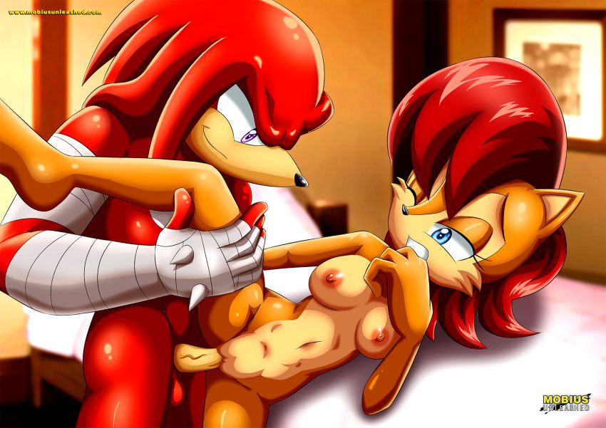 Mobius Unleashed: Sally Acorn 96