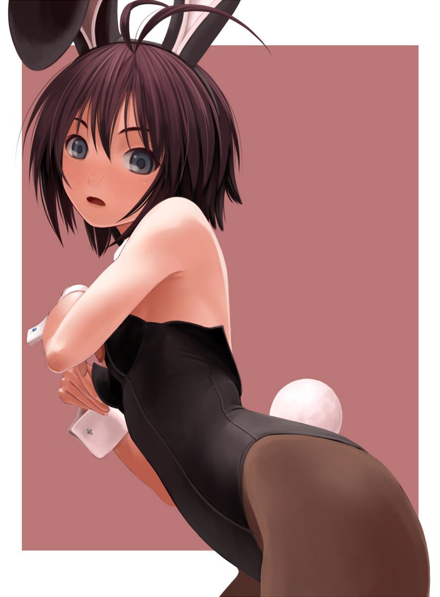 Up the erotic image of bunny girl! 14