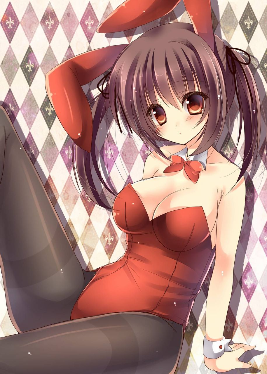 Up the erotic image of bunny girl! 18