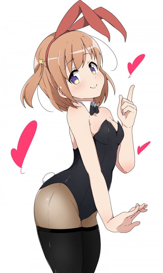 Up the erotic image of bunny girl! 20