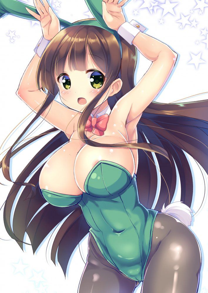 Up the erotic image of bunny girl! 9