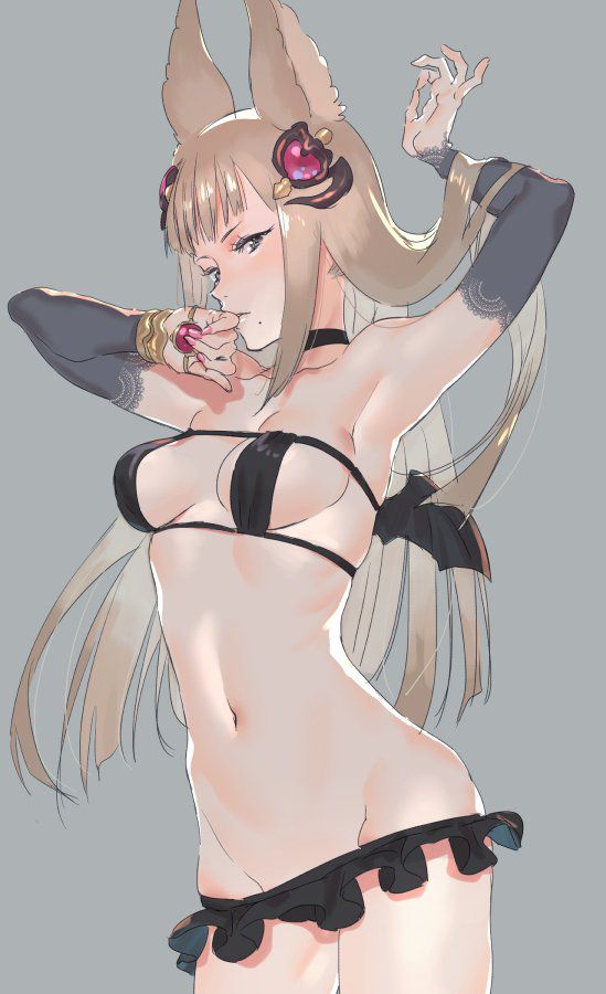 Maetera's Erotic Image [Granblue Fantasy] 21