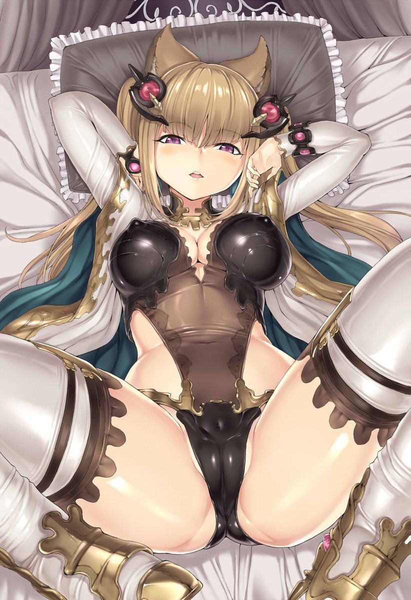 Maetera's Erotic Image [Granblue Fantasy] 9