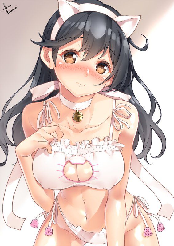 【Secondary】Erotic image of delicate "cat lingerie" that is cute but asked if it is erotic 1