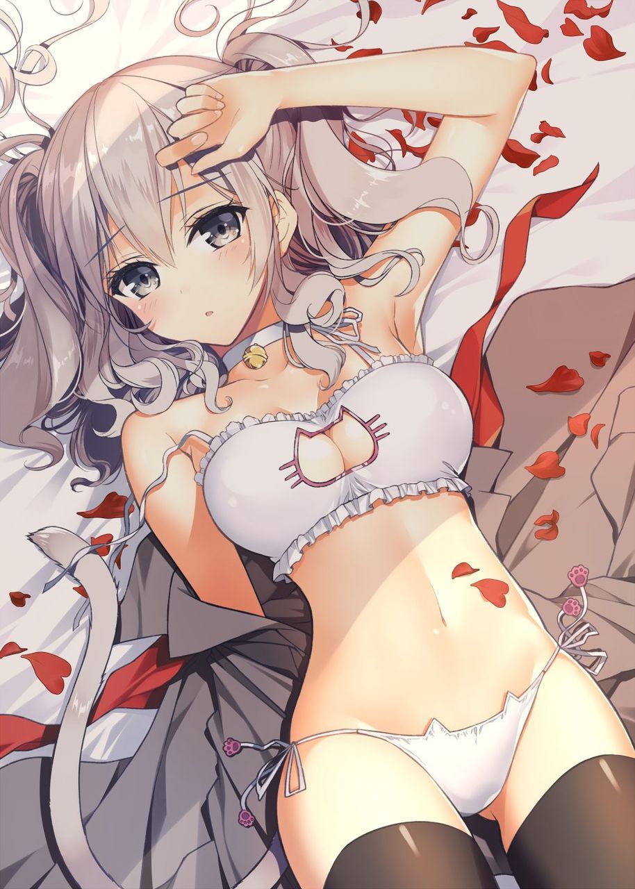 【Secondary】Erotic image of delicate "cat lingerie" that is cute but asked if it is erotic 3