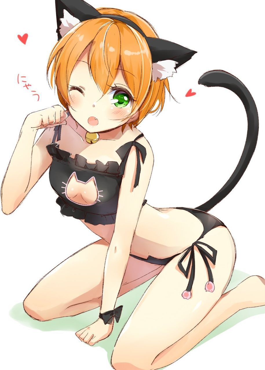 【Secondary】Erotic image of delicate "cat lingerie" that is cute but asked if it is erotic 34