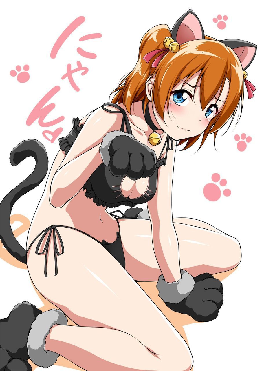 【Secondary】Erotic image of delicate "cat lingerie" that is cute but asked if it is erotic 53