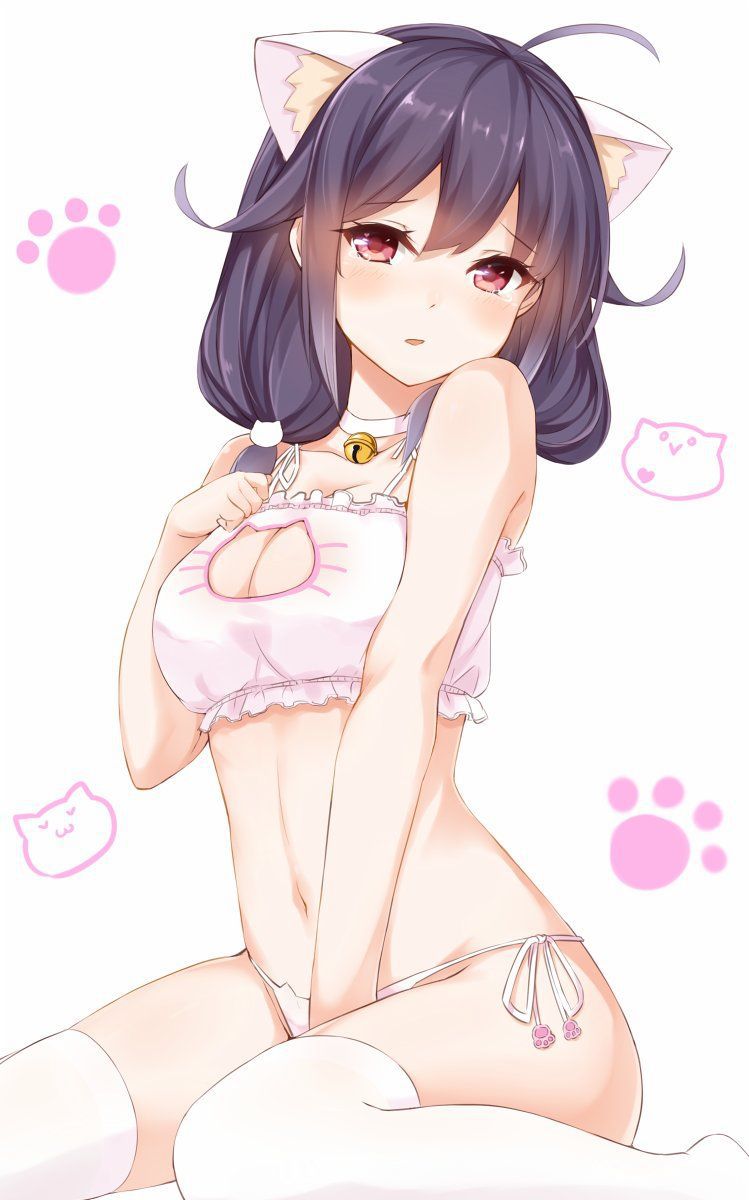 【Secondary】Erotic image of delicate "cat lingerie" that is cute but asked if it is erotic 62