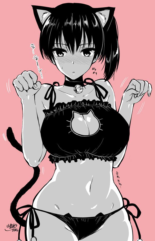 【Secondary】Erotic image of delicate "cat lingerie" that is cute but asked if it is erotic 9