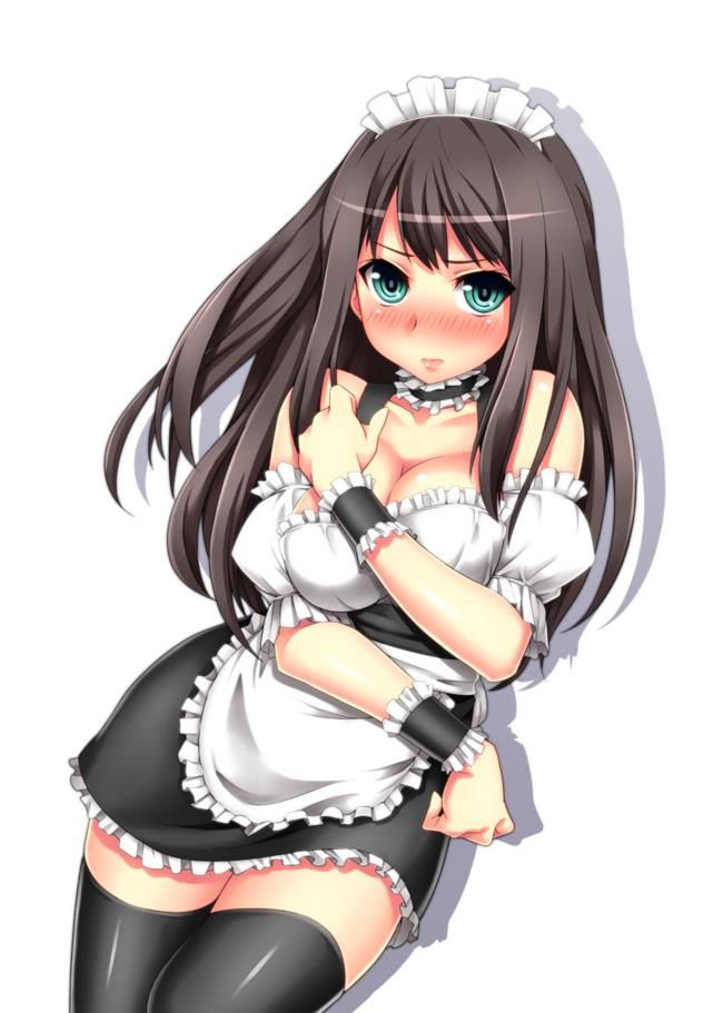 Two-dimensional erotic image of maid. 20