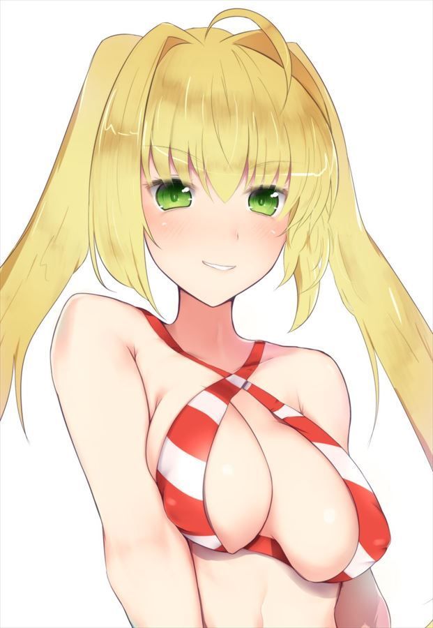 Fate Grand Order: Nero Claudius's cool and cute secondary erotic images 11
