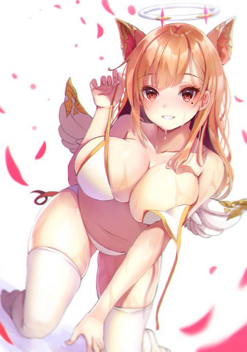 Releasing the Shadowverse Erotic Image Folder 15