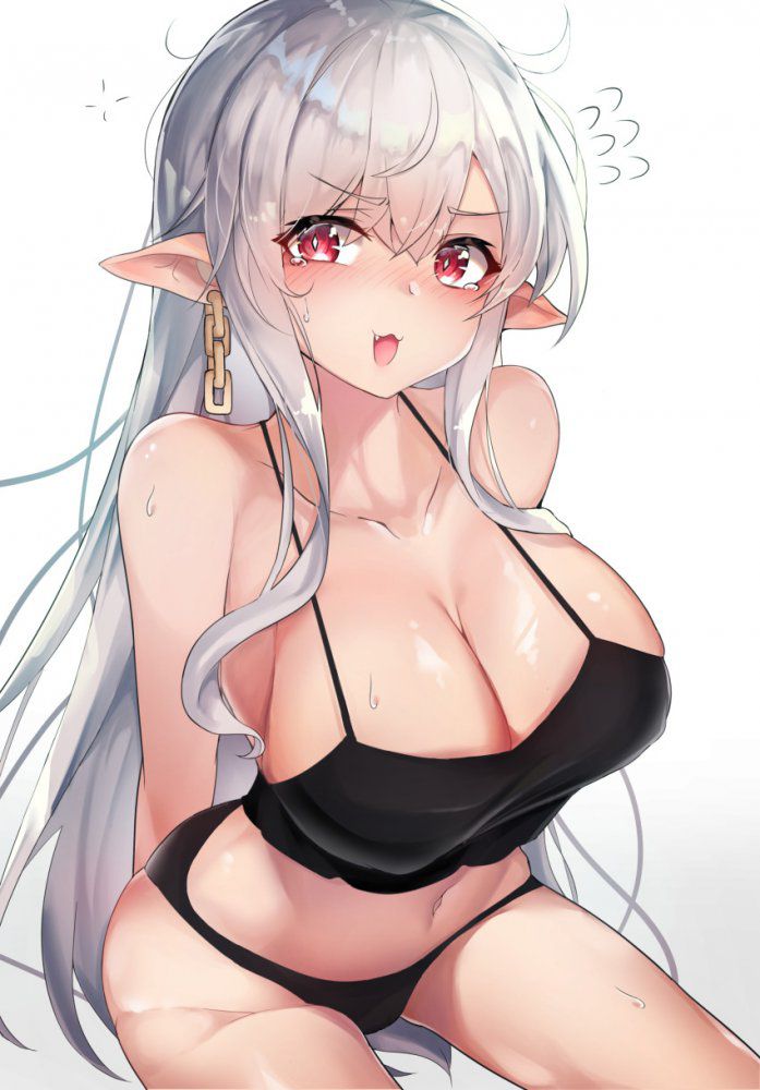 I'm going to put an erotic cute image of elf ears! 3