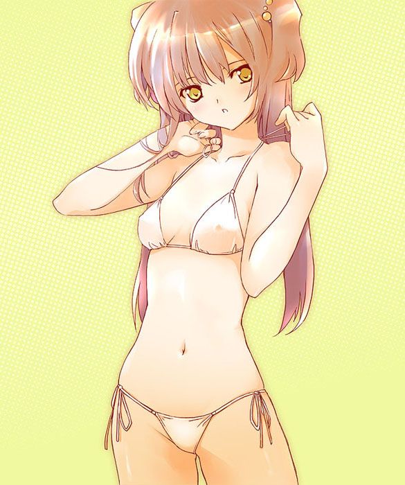 I'm going to paste erotic cute images of swimsuits! 6