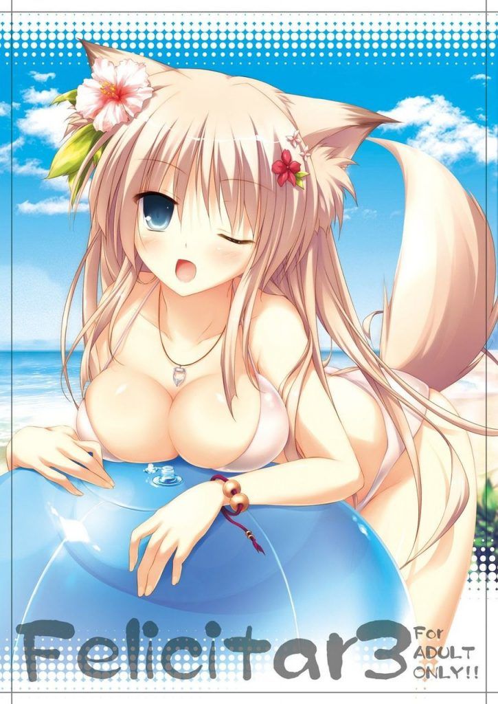 I'm going to paste erotic cute images of swimsuits! 9