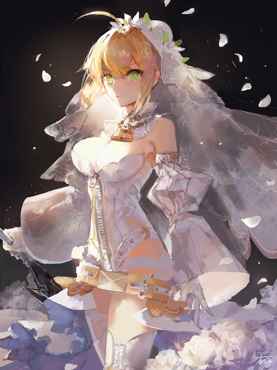 【Secondary】 Fate/Grand Order (Fate/EXTRA-CCC), Nero Claudius' love images summary! No.02 [20 sheets] 19