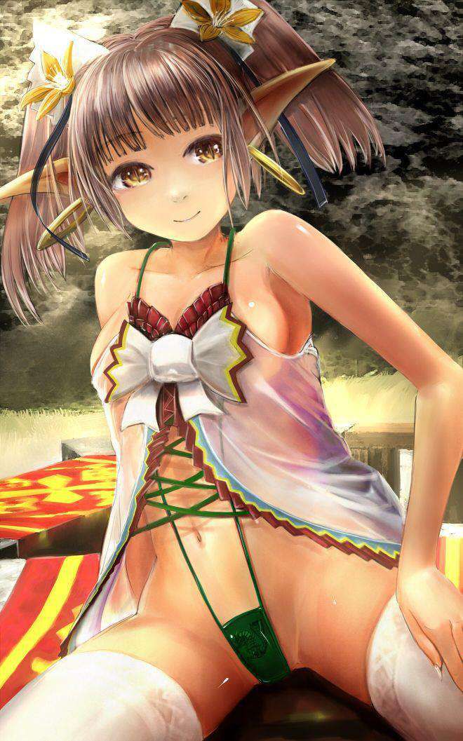 【MHF】Monster Hunter Frontier Online Erotic Images 12