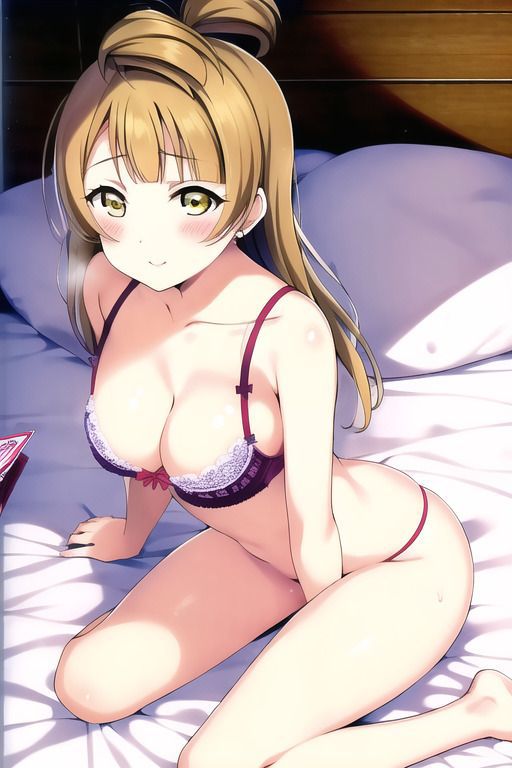 The result of making a large number of erotic images of "Love Live! 103