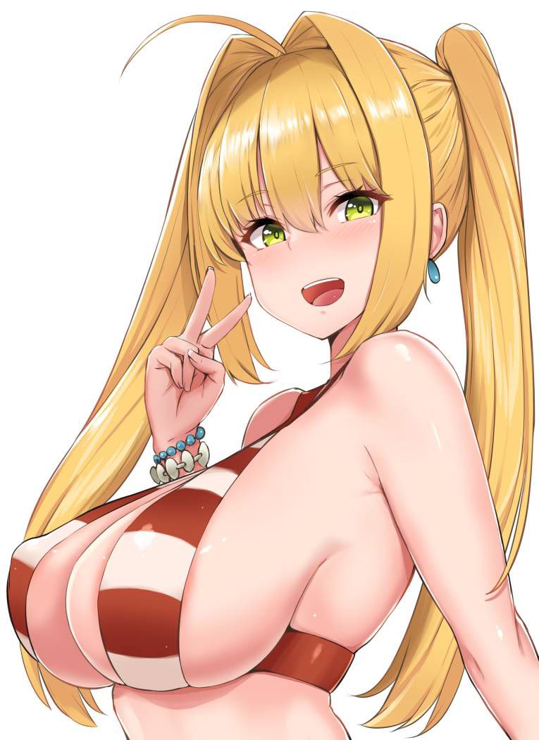 【Secondary】 Fate/Grand Order (Fate/EXTRA-CCC), Nero Claudius' love images summary! No.18 [20 sheets] 10