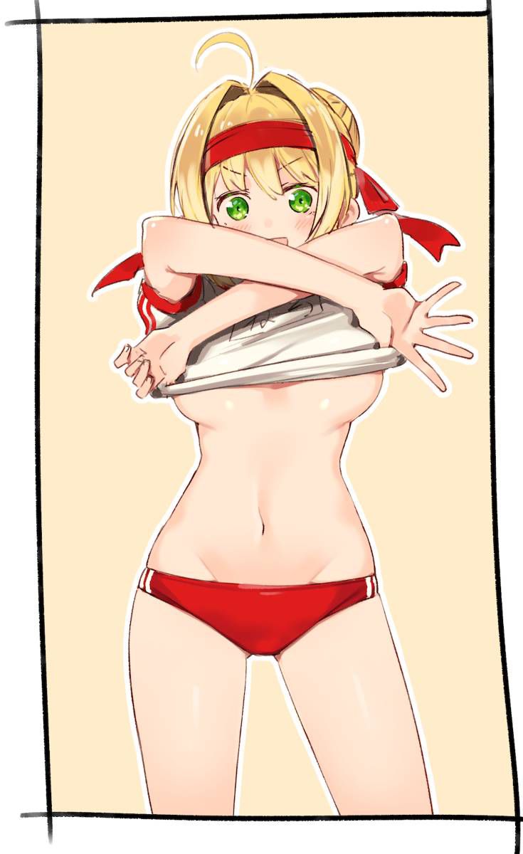 【Secondary】 Fate/Grand Order (Fate/EXTRA-CCC), Nero Claudius' love images summary! No.18 [20 sheets] 12