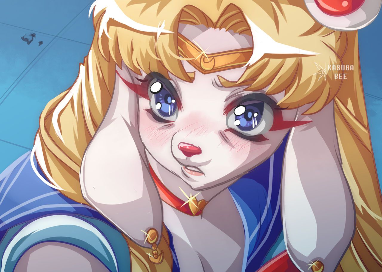 Sailor Moon Redraw 21